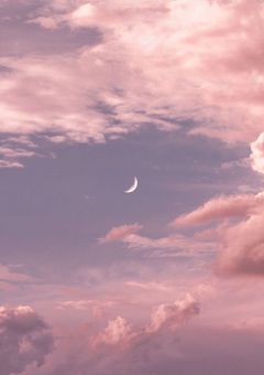 ソンフン愛され🐧