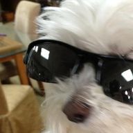 チャカ.さんのアイコン画像