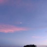 Blue Moonさんのアイコン画像