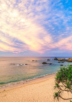 今日、好きになりました