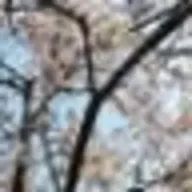 izumiさんのアイコン画像