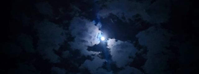 mrn🐑🧩♨️🌰🎠🍮💉🫧🛁🐣🍛⛑️🍌さんの壁紙画像