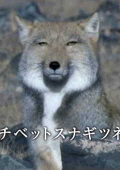 角名倫太郎の短編集