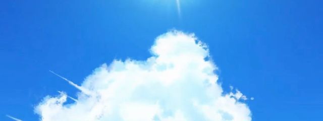 水花🫧🪷🃏さんの壁紙画像