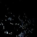 ゲームマスター