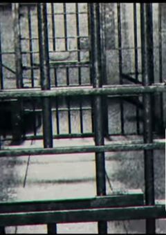 罪   ノ   連鎖     。