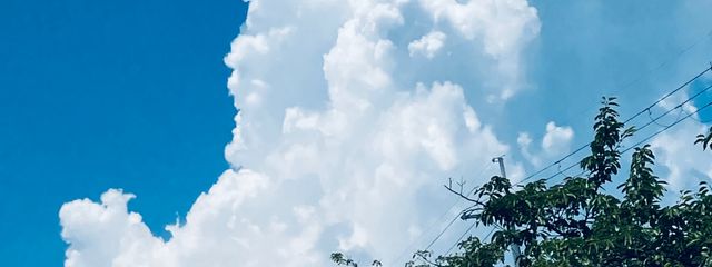 ゆうさんの壁紙画像