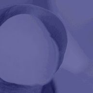 UTATANEさんのアイコン画像