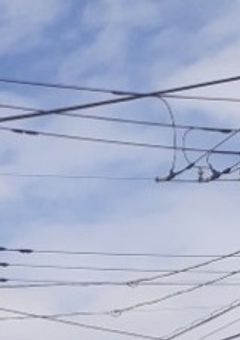  きみらとのじかんを【反応集】