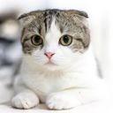 ユウカ