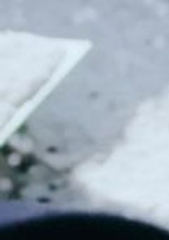 私は……皆を救う為にいる、多分…