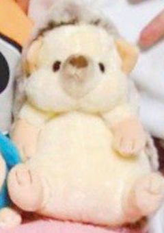 カオスがすぎるLINEグループ(BL入る時あるかも)