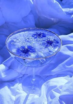 ざ つ だ　~ ん　(irxs🎲⭕️)