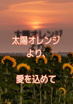 太陽オレンジより、愛を込めて