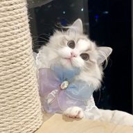 도움후さんのアイコン画像