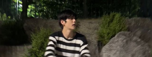 토끼🐰(受験のため活動休止中)さんの壁紙画像