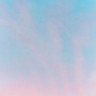 キツネさんさんのアイコン画像