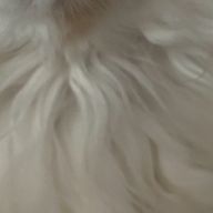 yuさんのアイコン画像