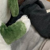 るきあ🌝さんのアイコン画像