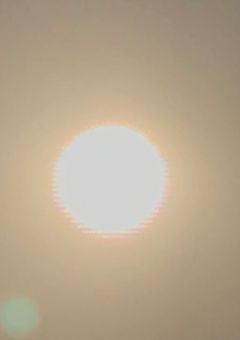 kinld詰め(長編？)