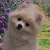 神奈木 さぁらさんのアイコン画像