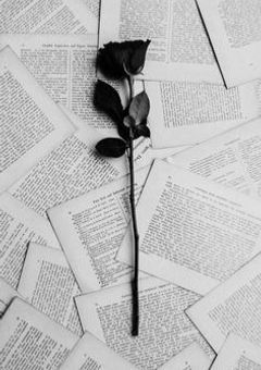 dark rose