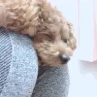 ⛵️(・‐・)ｱﾊ🍓 さらみ  不定期投稿さんのアイコン画像