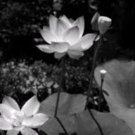 ꕖᗠꚶ 💐︎‪💕︎✨さんのアイコン画像