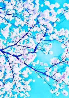 やわらかな笑顔