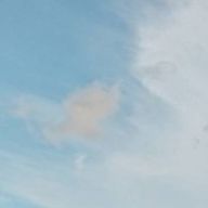 くらげうまうまさんのアイコン画像