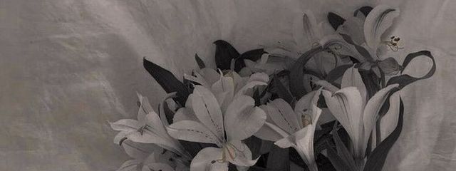 か え でさんの壁紙画像