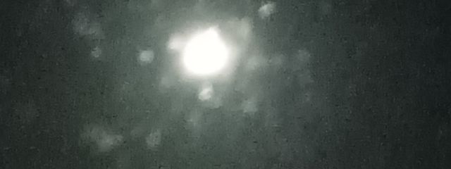 ไปฎ่๐๐ *๐๐๐๐๐๐* ๐๐ใใใฎๅฃ็ด็ปๅ