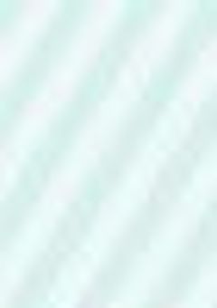 運命の影を追いかけて