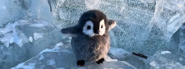 みぃー️🩵🎧@プロフ必読さんの壁紙画像