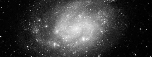 おかゆさんの壁紙画像