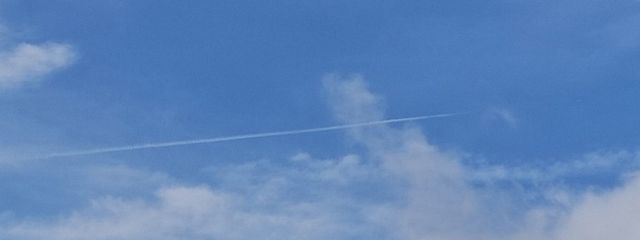 Bloomさんの壁紙画像