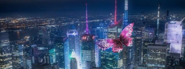 Butterfly effectさんの壁紙画像