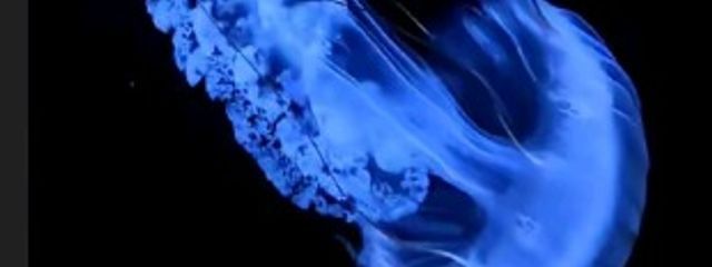 ☁︎︎アイラೀ꒰ঌ໒꒱ @低浮上₊ ˚ ✩ さんの壁紙画像