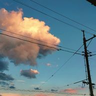 ぽん吉さんのアイコン画像