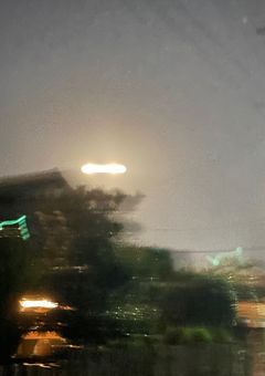 アンケート集