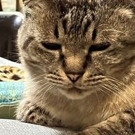 北野夢月さんのアイコン画像