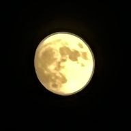 はおさんのアイコン画像