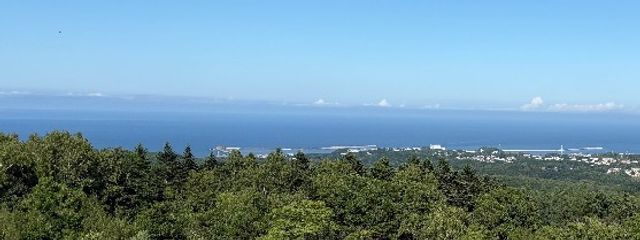 ほむさんの壁紙画像