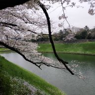 なのは@鷹党さんのアイコン画像