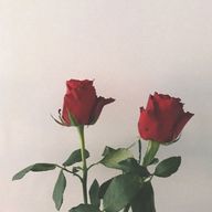 まぁちゃさんのアイコン画像