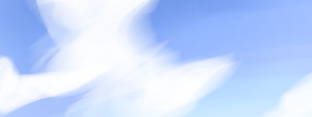 *星月まりん*さんの壁紙画像