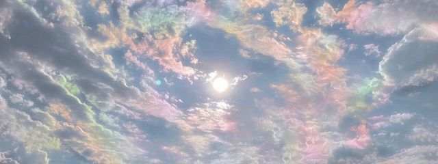 赤信号さんの壁紙画像