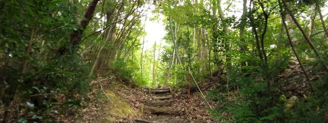 千空しか勝たんinminitani　　　　フォロバ絶対、誓うさんの壁紙画像