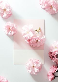 その桜を散らせぬ為に