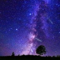 夜桜さんのアイコン画像